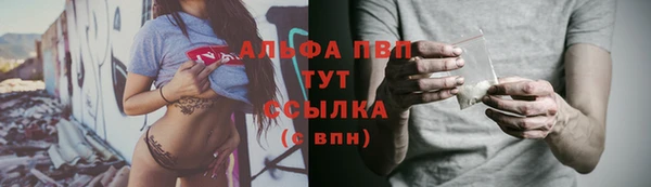 ECSTASY Кинешма