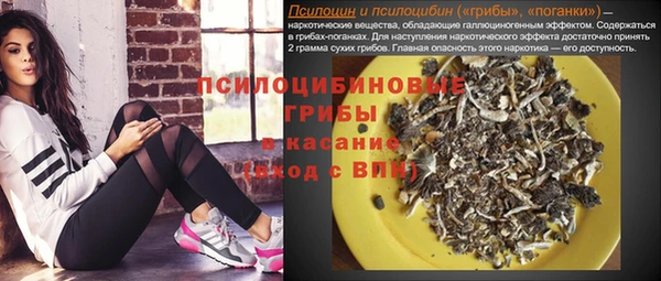 стаф Киреевск