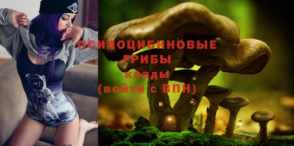 стаф Киреевск