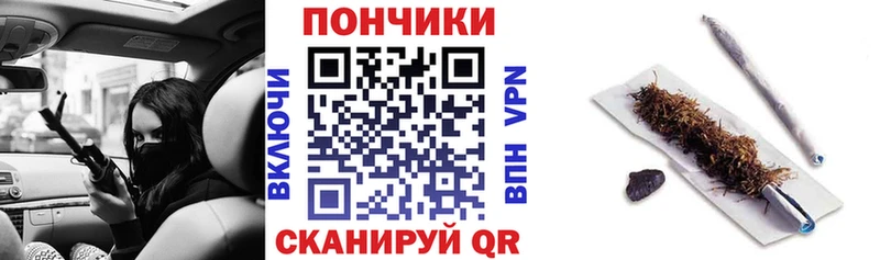 omg ТОР  darknet наркотические препараты  Бошки Шишки VHQ  где найти   Камышин 